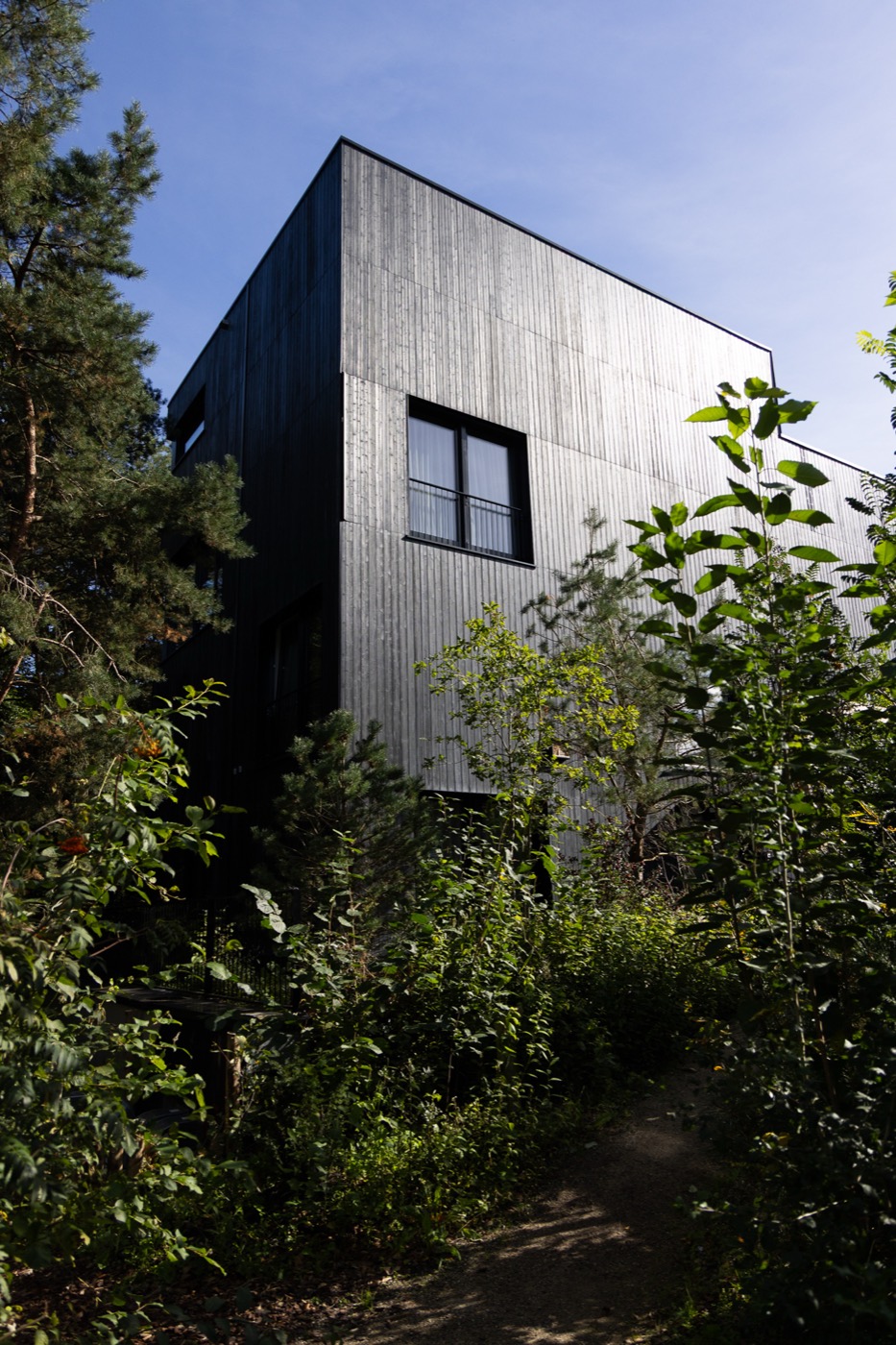 The Building tussen de bomen